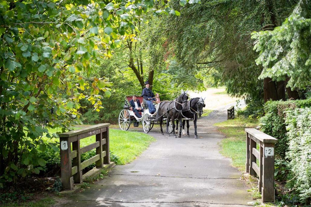 Hochzeitskutsche kommt mit Hochzeitspaar am Park vom Schloss in Rauischholzhausen an