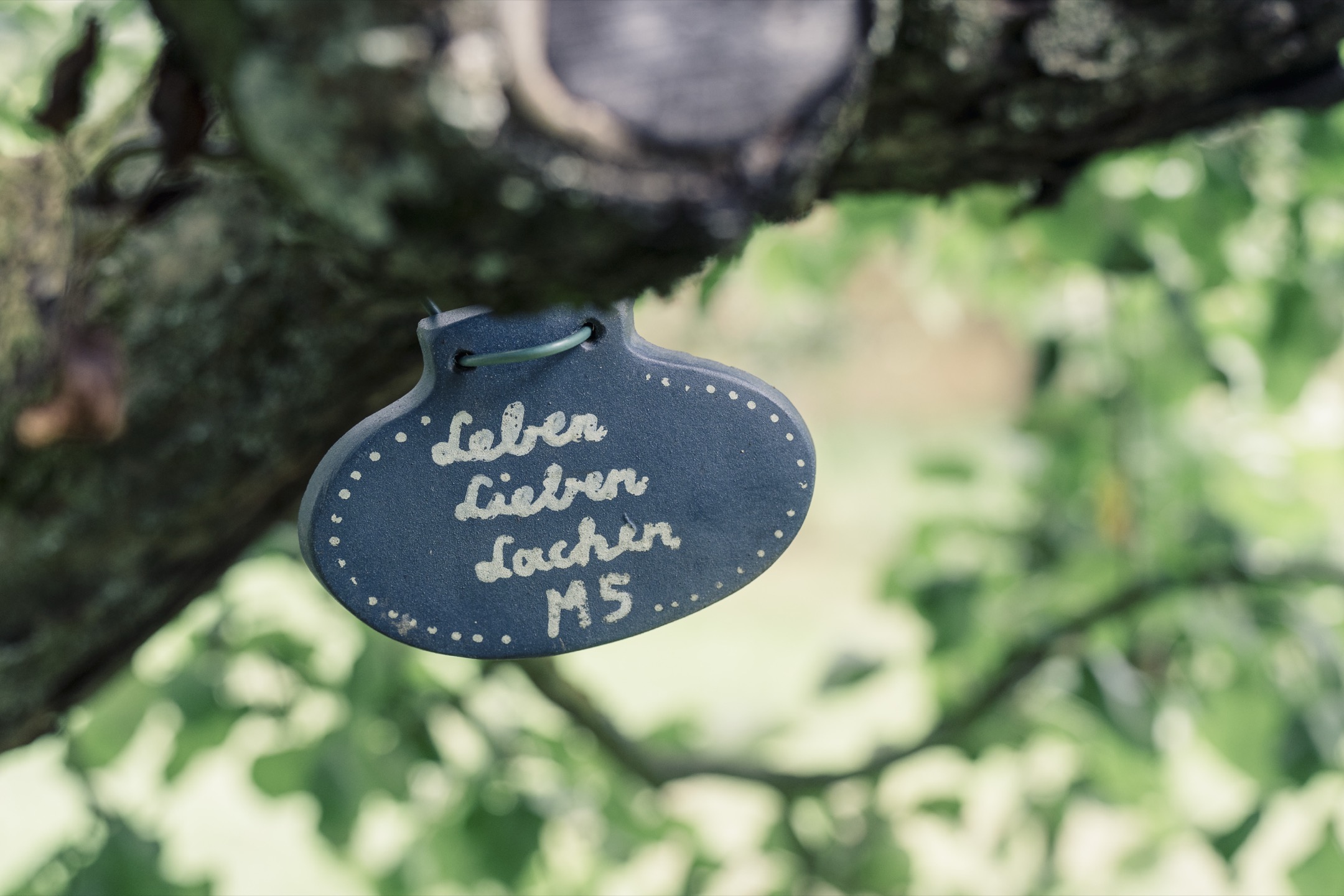 Detail Schild Leben Lieben Lachen – Obsthof am Steinberg Bad Vilbel Schild mit Aufschrift Leben Lieben Lachen an einem Apfelbaum auf dem Obsthof am Steinberg Bad Vilbel
